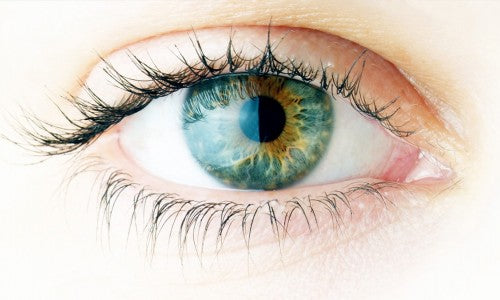 The science behind our smoothing eye serums formulation