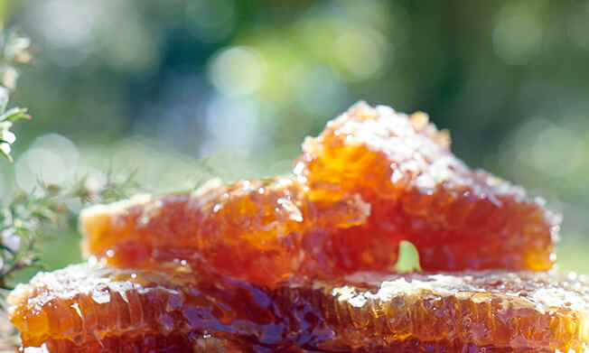 Snowberry New Zealand - Honeycomb